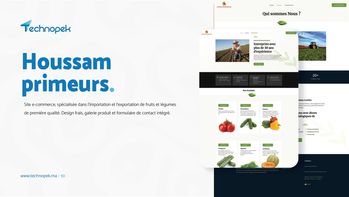 Technopek Maroc — portfolio agence digitale · planche 10 sur 34