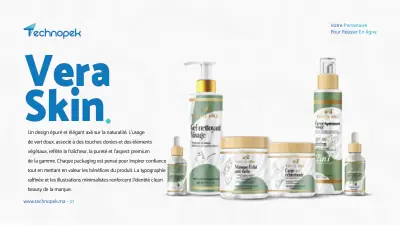 Technopek Maroc — portfolio agence digitale · planche 21 sur 34